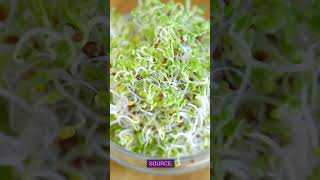 Top Foods Rich In Sulforaphane A Musttry List [upl. by Aerdnas429]