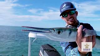 Fishing for Aggressive Houndfish on the Flats in the Bahamas [upl. by Raymonds464]