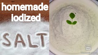 homemade iodized salt recipe  salt using drumstick leaves  iodized salt recipe  iodized salt [upl. by Enicul552]