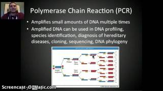 IB Genetic Engineering amp Biotechnology Part 1 [upl. by Shu]