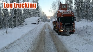 Log Trucking  Beautiful sunny winter day at Leringen [upl. by Anu]