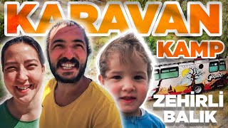 KARAVAN KAMPINDA EN ZEHİRLİ BALIKLARDAN BİRİNİ YEDİK ASLAN BALIĞI [upl. by Amal74]