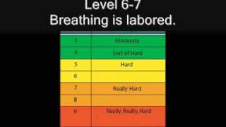 RPE Scale [upl. by Nhguavaj]