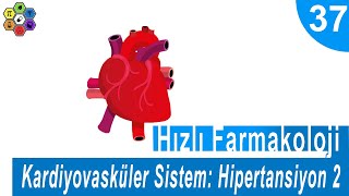 KARDİYOVASKÜLER SİSTEM HİPERTANSİYON 2  Hızlı Farmakoloji 37 [upl. by Cherianne831]