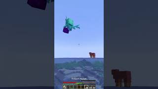 How To Find Nether Portal Last Block Moment minecraft shorts meme [upl. by Daveen]