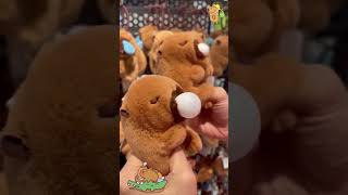 Capybara Playtime Toytastic Adventures in Capybara Store capybara linkinbio [upl. by Garmaise]