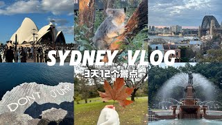 Vlog SydneyVlog｜Opera House｜ObservatoryHill｜DontJump｜爬了半个小时到达悬崖边｜下大雨的悉尼歌剧院｜悉尼烟花秀｜海鲜龙虾｜动物园 [upl. by Enrak256]