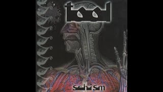 Tool  Schism Lyrics [upl. by Korenblat]