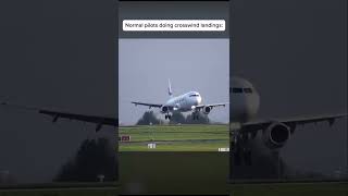 Crosswind is afraid of him aviation crosswind cool phonk [upl. by Coleen]