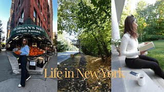 NYC Vlog  New York Escape to Fall Foliage in Suburbs 🍂  Cozy Weekend Vlog [upl. by Nedia]