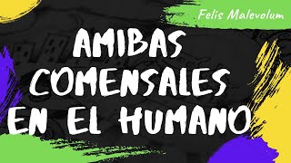 Amibas Comensales en el Humano [upl. by Atelokin]