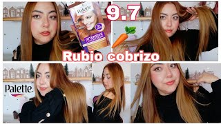 🥕RUBIO COBRIZO  PALETTE 97 🥕  ME ENCANTO  SANDY GO [upl. by Atikahc]