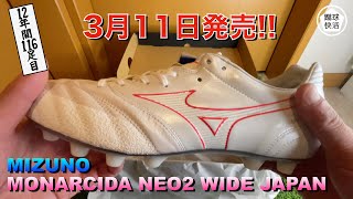 ひかえめに言ってもこれは神 3月11日発売モナルシーダ新色 12年間で116足目【サッカースパイク】 [upl. by Uttasta]