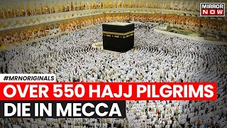 Hajj 2024  Over 550 Hajj Pilgrims Killed Die To Intense Heat In Mecca  English News  World News [upl. by Kenwrick499]