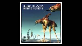 Pink Floyd  MADley Mix by Nufonic [upl. by Yrallam]