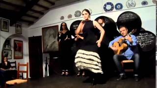 La bailaora Araceli Muñoz Mata triunfa en la Peña Flamenca El Lucero [upl. by Annil]