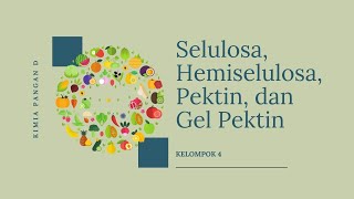 Selulosa Hemiselulosa Pektin dan Gel Pektin [upl. by Nomelif]