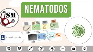 Clasificacion NematodosParasitos【Simula en Med】 enarm [upl. by Htaras]