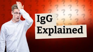 What is IgG in full [upl. by Iv]