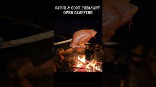 Hunting and cooking pheasant over the campfire [upl. by Liddie]