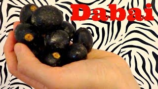 Dabai Review Canarium odontophyllum Weird Fruit Explorer Ep 135 [upl. by Cyprian530]