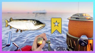 Ladoga Archipelago Pike Trophy Spot  Russian Fishing 4 RF4 [upl. by Hachmann]