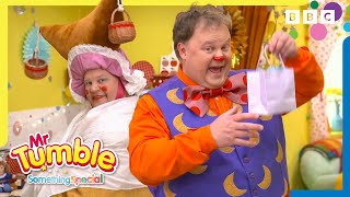 Lets Celebrate ⭐️  Mr Tumble and Friends [upl. by Rossner301]