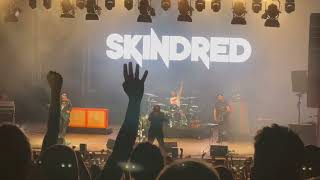 Skindred  Kill the power [upl. by Niroht]