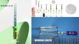 Instruction of How to Use Eighteeth EFLEX ONE Heat Treated Endo Files Usage Protocol [upl. by Harbour799]