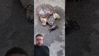 De lenta não tem nada 🐢 [upl. by Issej]