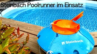 Steinbach Poolrunner Battery Basic im Betrieb  Poolroboter unter 200€  lohnt der Poolsauger [upl. by Ddot]