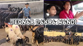 Deonar Bakra Mandi [upl. by Upali]