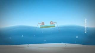 Ocean Wave Energy Conversion System [upl. by Jannelle972]