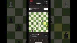 youtubeshorts chessman ytshorts checkmate chessmaster [upl. by Novart]