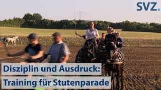 Ausdruck und Disziplin Training für Stutenparade auf Gestüt Ganschow [upl. by Jeniffer]