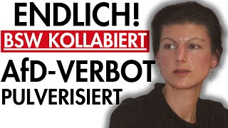 🚨BSW kollabiert AfDVerbot zerschmettert – Altparteien in Schockstarre💥 [upl. by Leid]