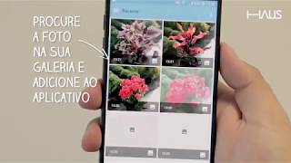 Como descobrir o nome das plantas através de uma foto com o celular [upl. by Norita]