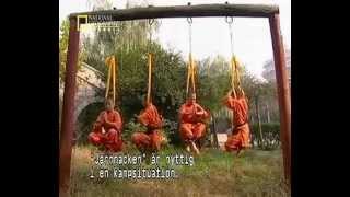 Myths And Logic Of Shaolin Kung Fu [upl. by Gorlin]