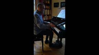 Bach  Siloti Siciliano BWV 1031 [upl. by Aihsital97]