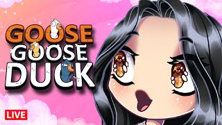 🔴 LIVE GOOSE GOOSE BESTIE [upl. by Ettevad]