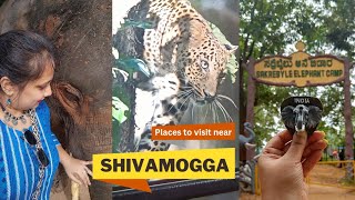 Places to see near Shivamogga  Budget trip from Bangalore to shivamogga  Explore Shivamogga [upl. by Nosnarb]