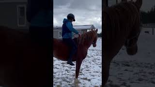 Sitting on my colt before saddling [upl. by At]