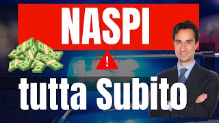 PARTITA IVA E DISOCCUPAZIONE GUIDA SU COME FARE DOMANDA DI NASPI ANTICIPATA Tutorial completo 2024 [upl. by Broderick]