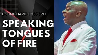 Bishop Oyedepo Speaks Tongues of Fire [upl. by Apeed]