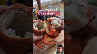 Juicy Lobster 🦞 meat  Seafood  Lobster  Advanced technique  shorts ytshorts [upl. by Raddi]