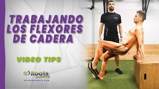 🎥 Trabajando los flexores de cadera  Roots videotips ✅ [upl. by Audsley]