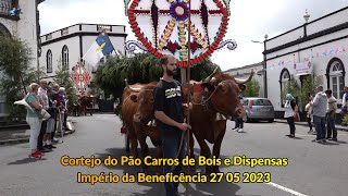 Cortejo do Pão da Bandeira da Beneficencia Carros de Bois e Dispensas dos Homens do Mar [upl. by Ahsiekat529]