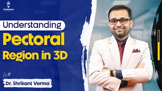 Understanding pectoral region anatomy in 3D with Dr Shrikant Verma  Cerebellum Academy [upl. by Assiluj]