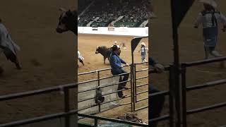 PRCA Rodeo at Minnesota Horse Expo rodeo PRCA bullriding cowboy horse bull cowgirl minnesota [upl. by Ayna]