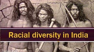 Racial groups in India  Indian History for Civil service exams  Racial diversity [upl. by Sperling]